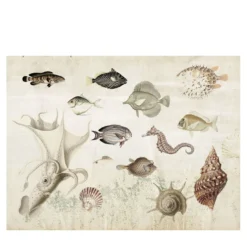 Acquarium Nature Carta da parati