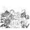 Alice’s Flowers Nature Carta da parati