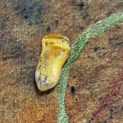 Arazzo Dipinto a Mano in Velluto di Seta Rampicante