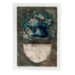 Arte Cyanotipo Giardino Primaverile su Carta