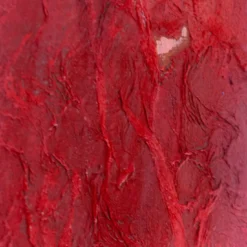 Ascensione di Fuoco Dipinto Astratto di Giuseppe Caiafa