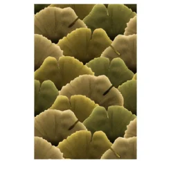 Autumn Biloba Facade 22 Carta per esterno