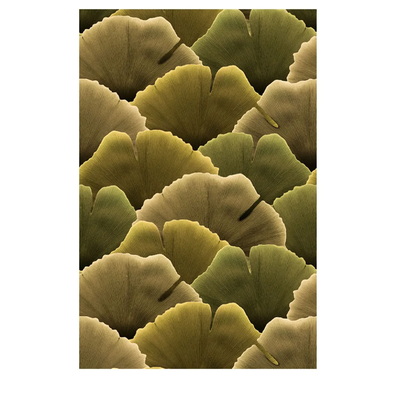 Autumn Biloba Facade 22 Carta per esterno