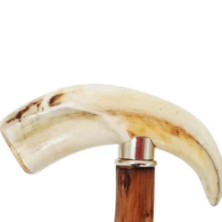 Bastone da passeggio con dente di facocero