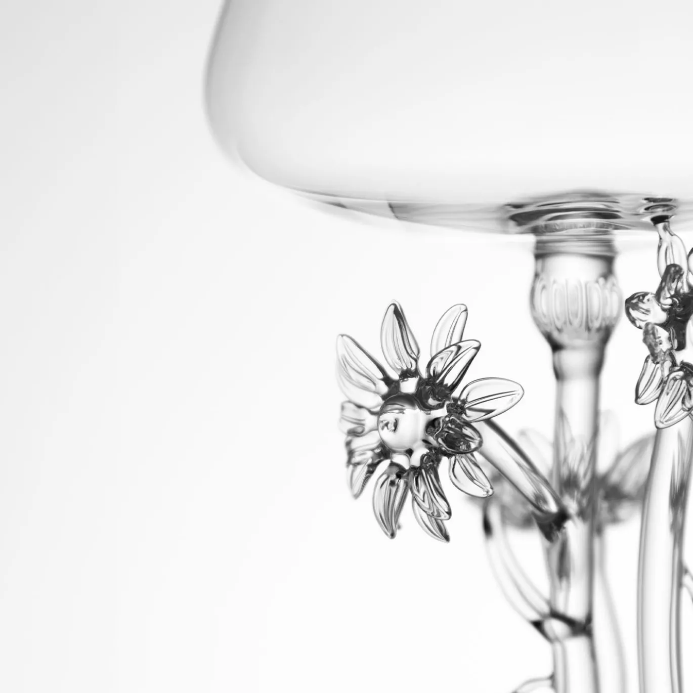 Bicchiere da cocktail Anthemis Tinctoria