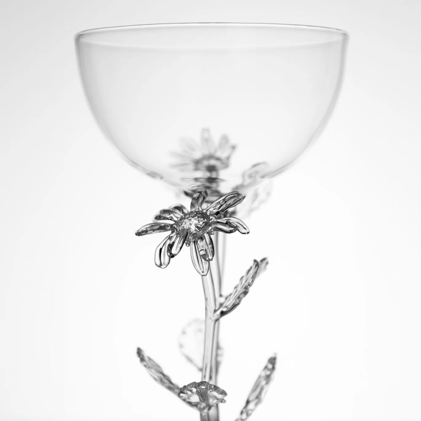 Bicchiere da cocktail Chrysanthemum Leucanthemum