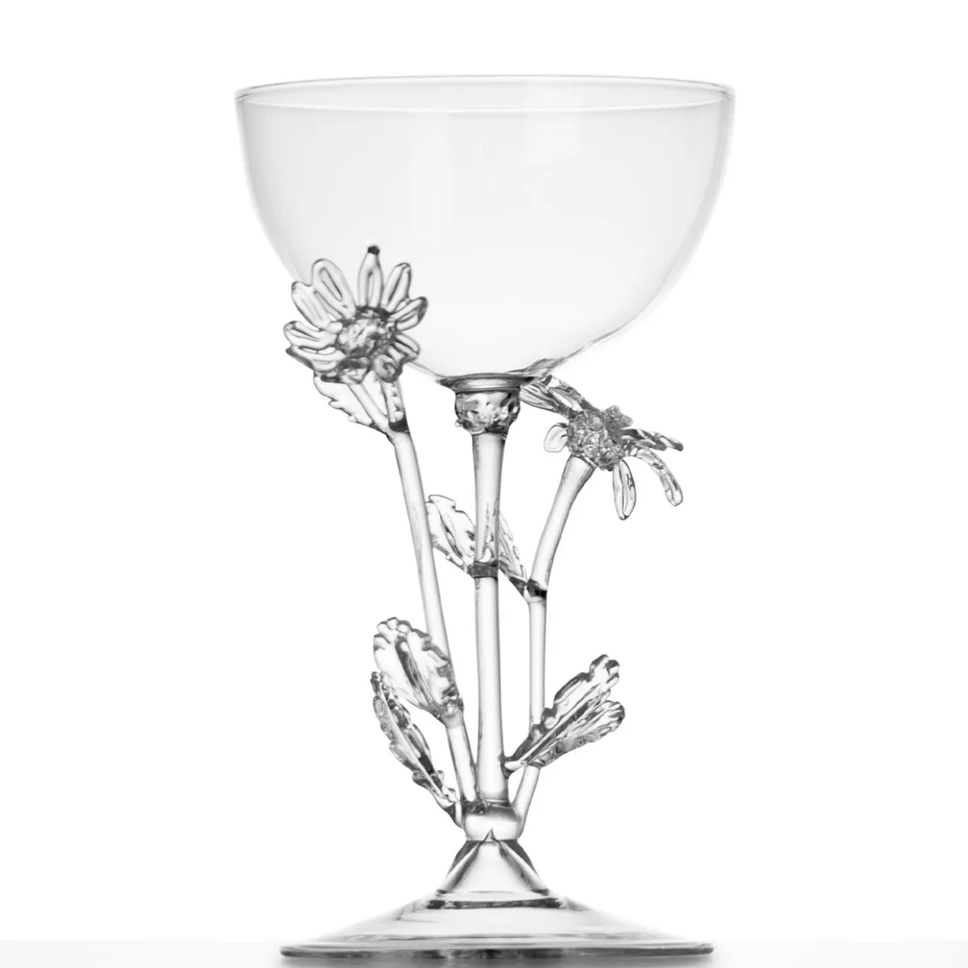 Bicchiere da cocktail Chrysanthemum Leucanthemum