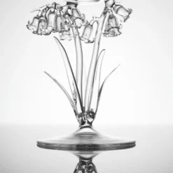 Bicchiere da cocktail Hyacinthoides Non-Scripta