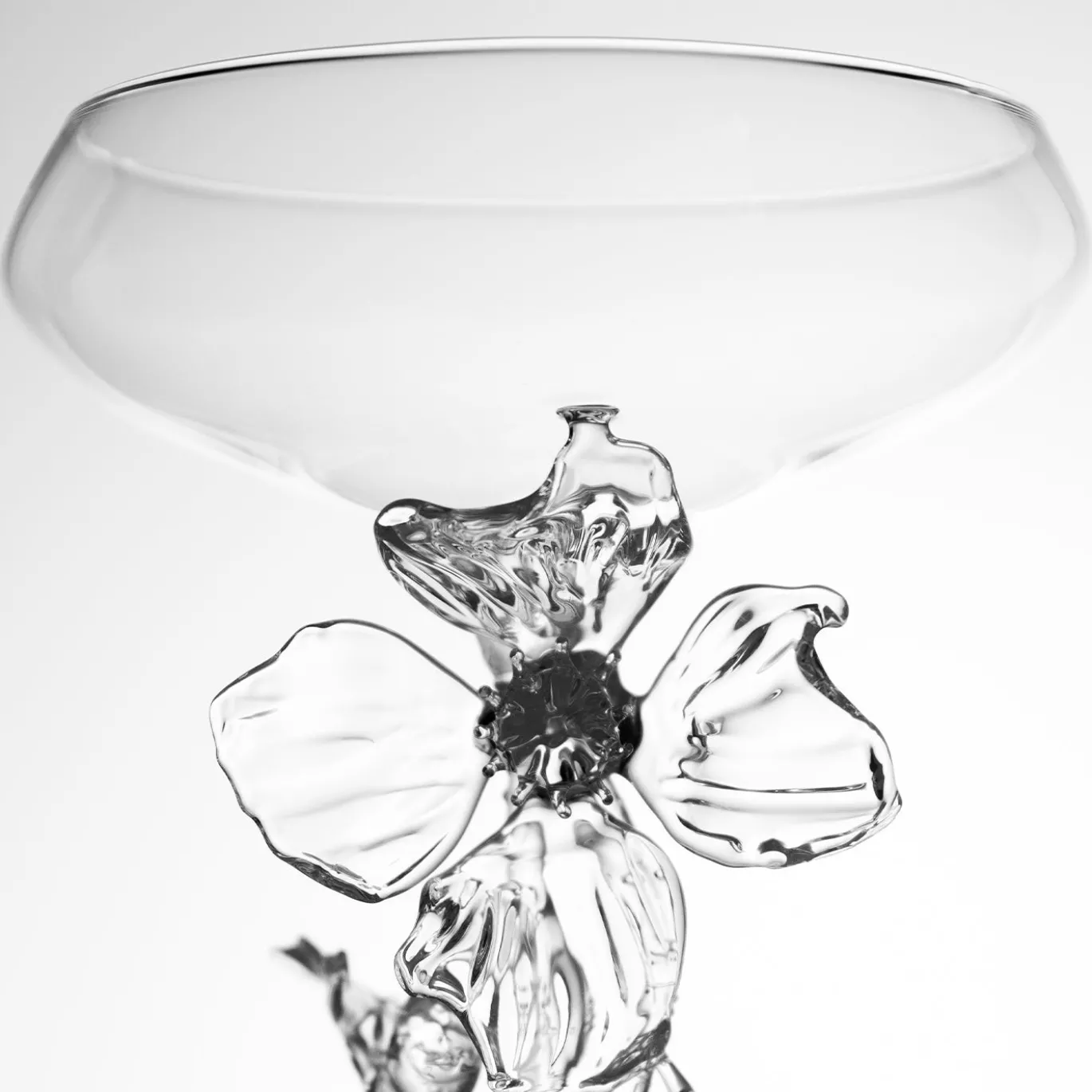 Bicchiere da cocktail Papaver Rhoeas