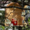 Bicchiere Mezzo & Mezzo Bolle Rosso Vetro