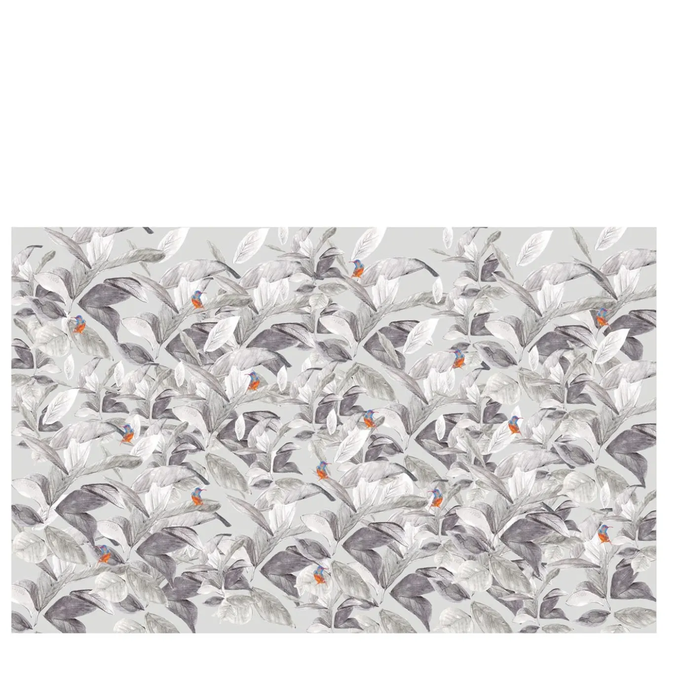 Birds BN Botanika Carta da parati