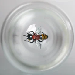 Bottiglia di Vetro Bee