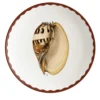 Cabinet De Curiosités Set di 2 piatti da pane in porcellana con conchiglie