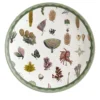 Cabinet De Curiosités Set di 2 piatti da dessert in porcellana con alghe marine