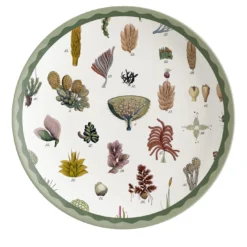 Cabinet De Curiosités Set di 2 piatti da dessert in porcellana con alghe marine