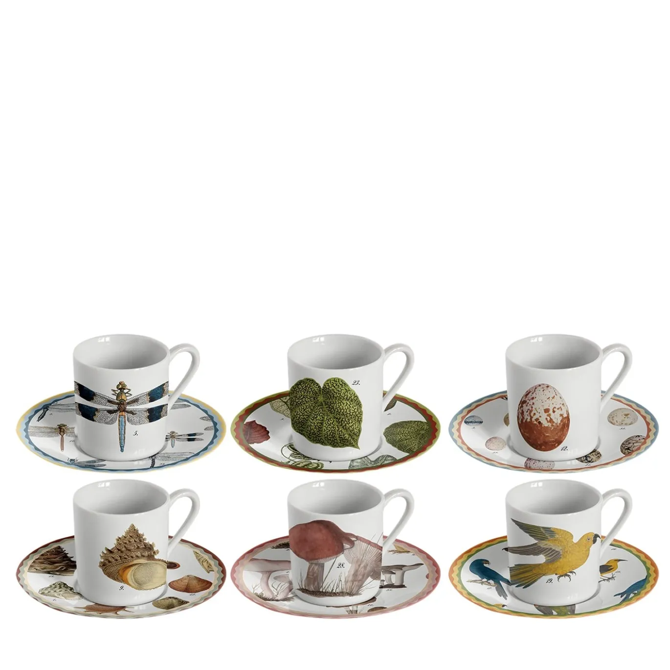 Cabinet De Curiosités Set di 6 tazze da espresso in porcellana