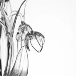 Calice da vino Galanthus Nivalis