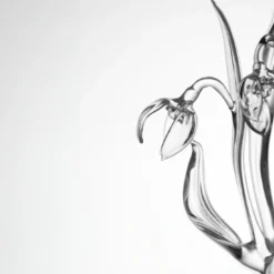 Calice da vino Galanthus Nivalis