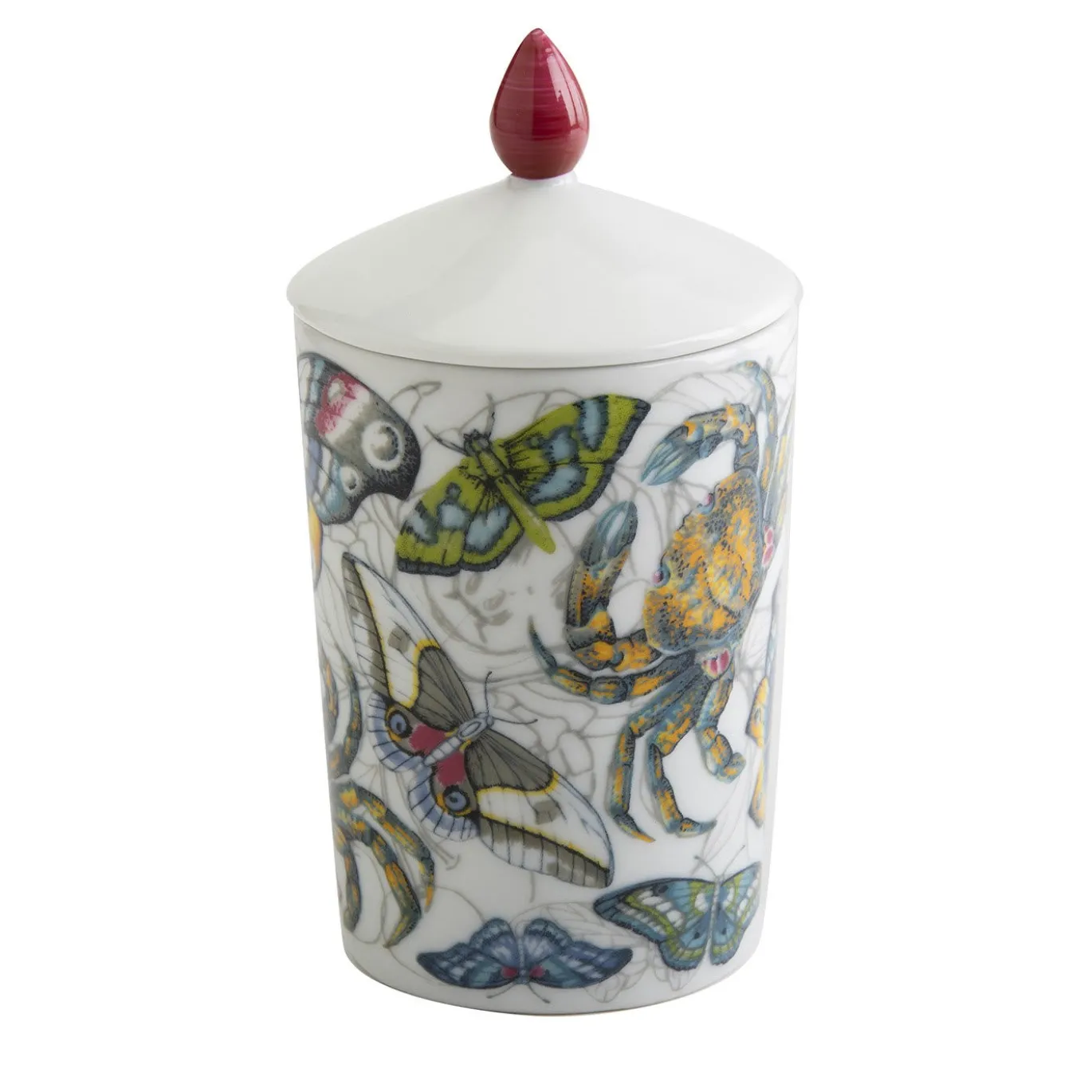 Candela Carezze Luxe