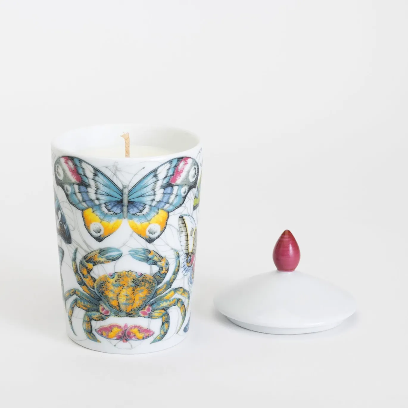 Candela Carezze Luxe