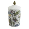 Candela Carpe Diem Luxe