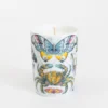 Candela Casa Luxe
