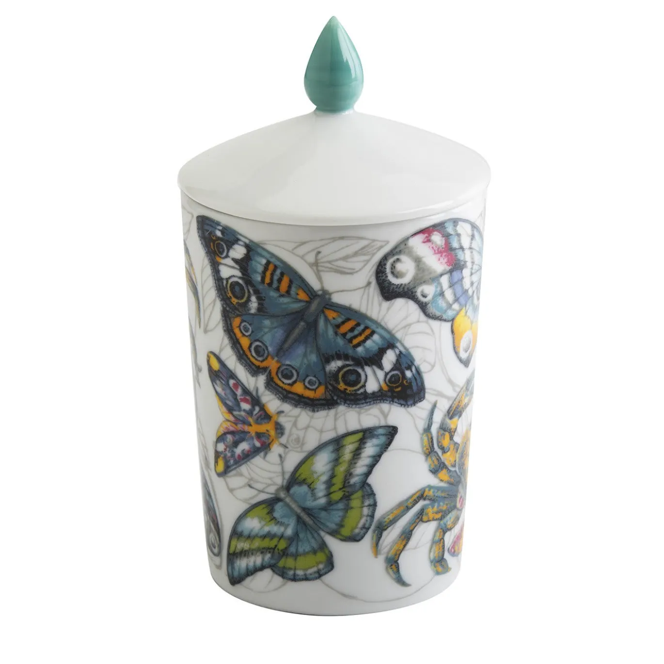 Candela Casa Luxe
