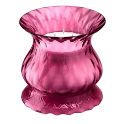 Candela Ruby Tulip