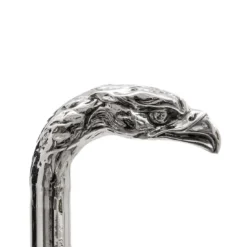 Canna dell'Aquila d'argento