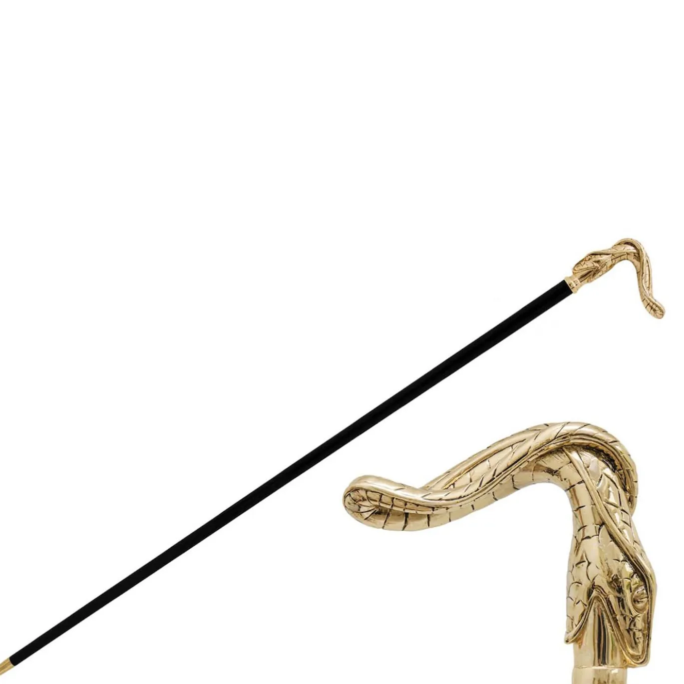 Canna del serpente d'oro