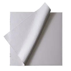 Carta Bianca - Gesso Acrilici e Carta Indiana su Tela di Cotone #1