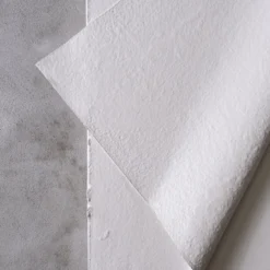 Carta Bianca - Gesso Acrilici e Carta Indiana su Tela di Cotone #1