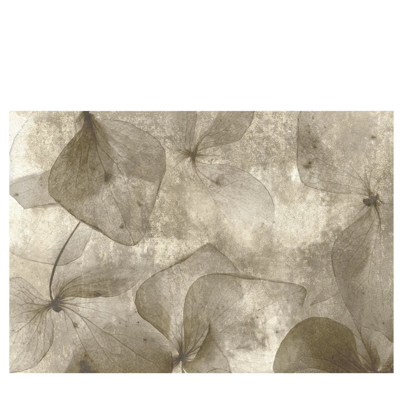 Carta da parati testurizzata Petali beige