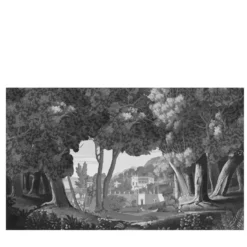 Carta da Parati Trompe l'Oeil B Panorama Beige