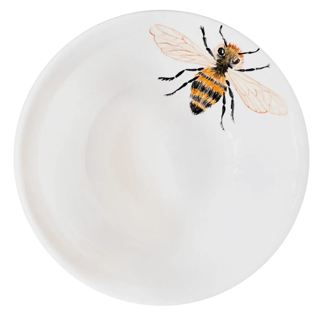 Ciotola policroma Apis Insecta
