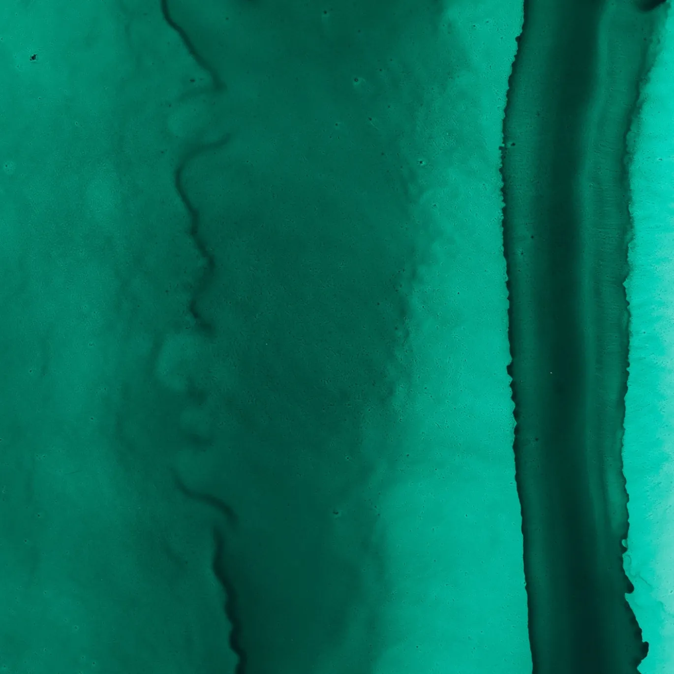 Collezione Inchiostro - Set di 4 Sottopiatti rotondi Verde Malachite