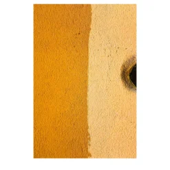 Composizione Stampa su Carta Fotograﬁca