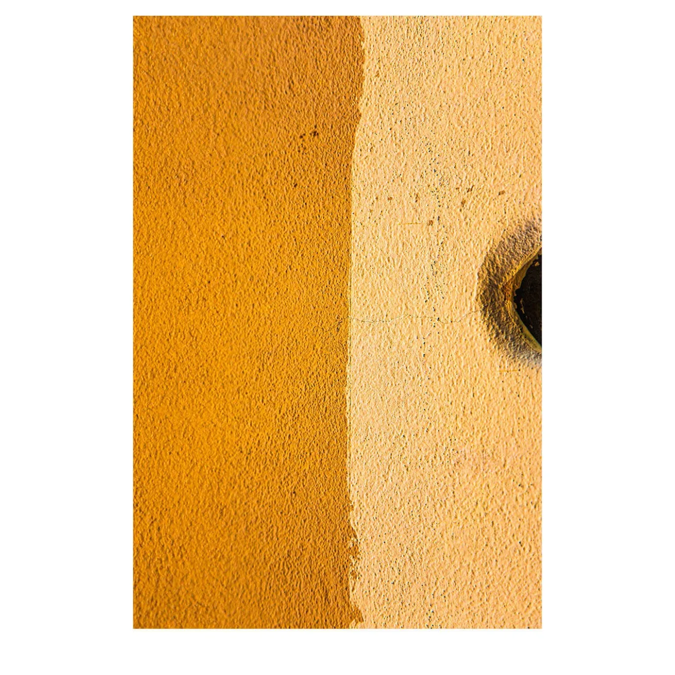 Composizione Stampa su Carta Fotografica