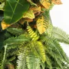 Composizione verde verticale per interni Hana