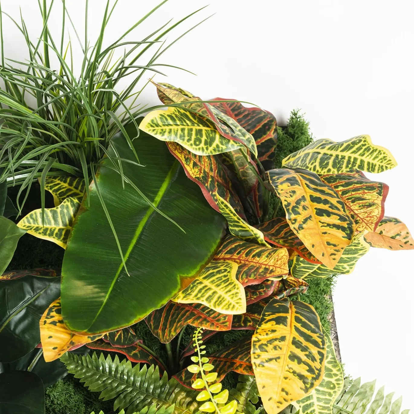 Composizione verde verticale per interni Hana