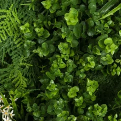 Composizione verde verticale per esterni Meleda