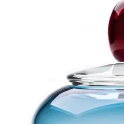 Contenitore Kountess rosso-blu con coperchio