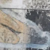 Conversione di San Paolo Pittura #2