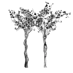 Coppia di sculture Arbor Vitae