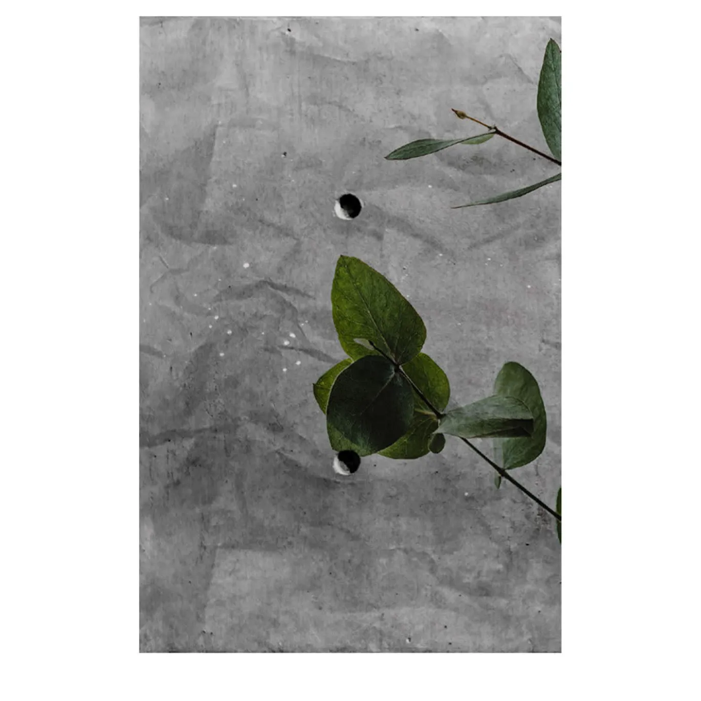 Crumpled Leaf Facade 22 Carta per esterno