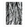 Disegno della Forêt d'Alsace