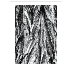 Disegno della Forêt d'Alsace
