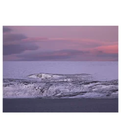 Due Balene Stampa fotografica