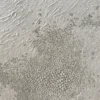 Evoluzione OGW Triadico Opere d'Arte Astratte in Resina