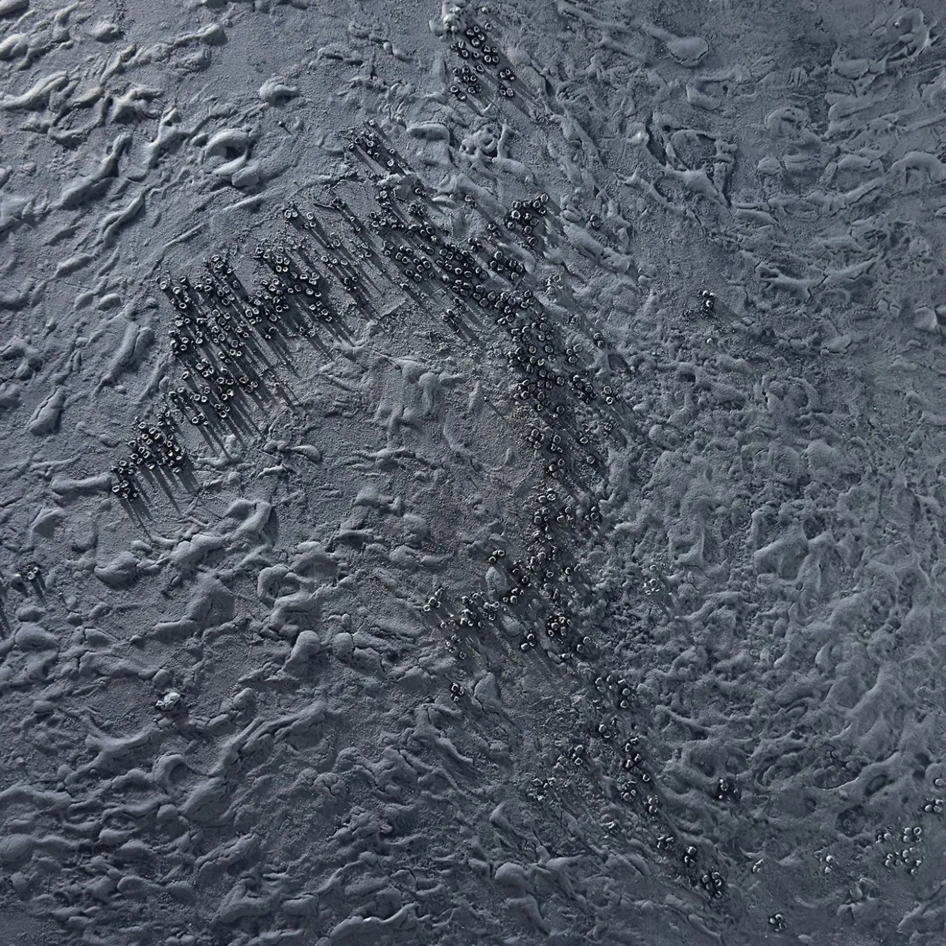 Evoluzione OGW Triadico Opere d'Arte Astratte in Resina